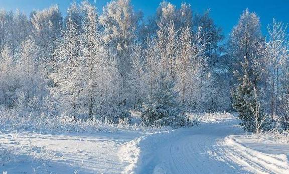 掩不去的雪痕，千里又千里