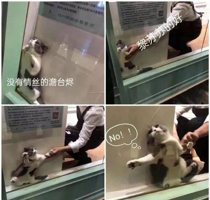 ����ʲô������С�������