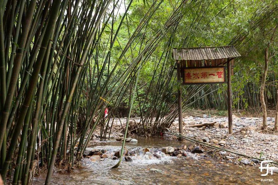 五一肇庆游｜叹酒店泡汤泉，打卡山川溶洞，品味甘旨杏花鸡！