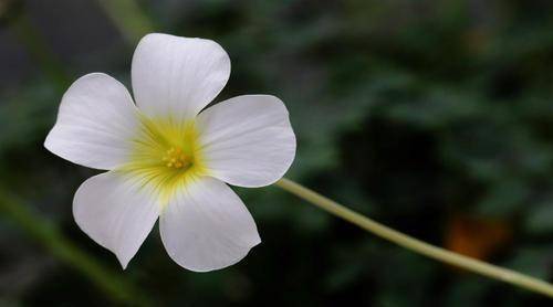 ���Ǯ���ƣ��������ң��������ȫ��Խ��Խ������Ĵ���Ф ...