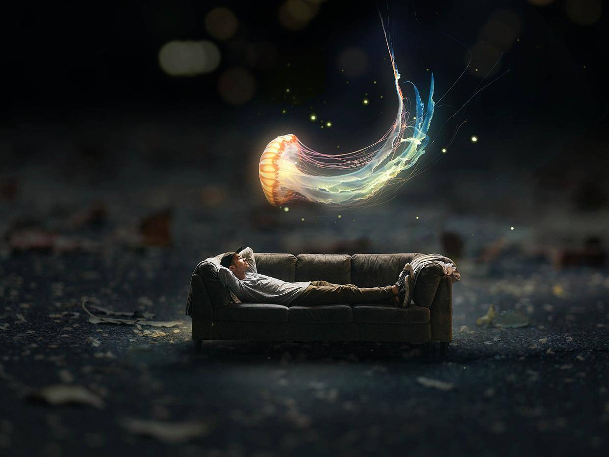 揭秘梦境奥秘，为何频繁梦见已故亲人复活？