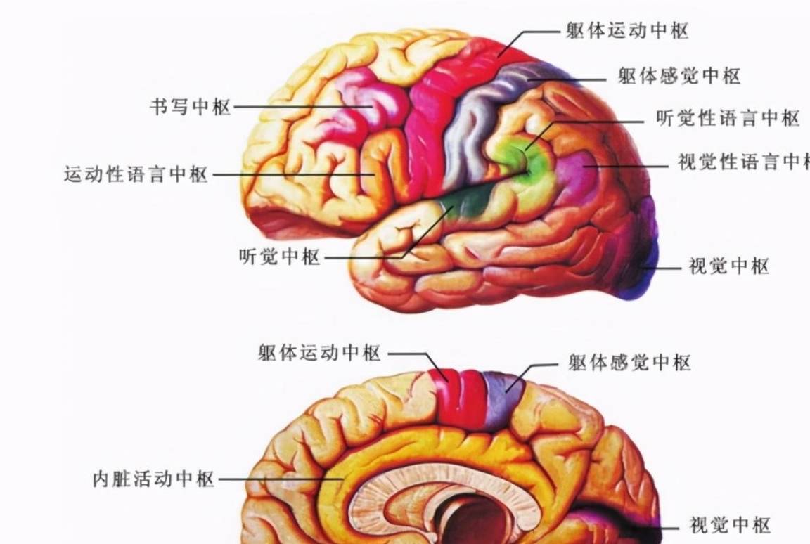 什么是失温？人体失温有多可怕？症状从躁动到呈现幻觉，曲至灭亡