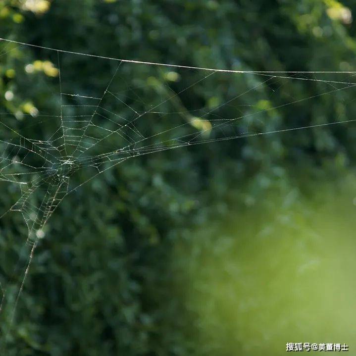 全国正规代怀公司（上海集爱医院彭献东医生：谷雨试管小贴士）