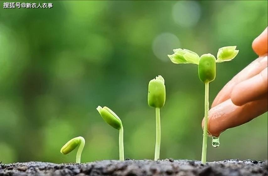 浙江中学生情侣太疯狂，大庭广众之下偷尝禁果，视频拍摄者违法吗