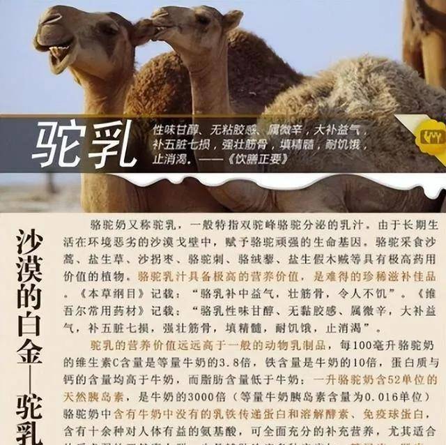 男子花1700元买了价值70万的骆驼奶 其实商家也不亏，还赚了