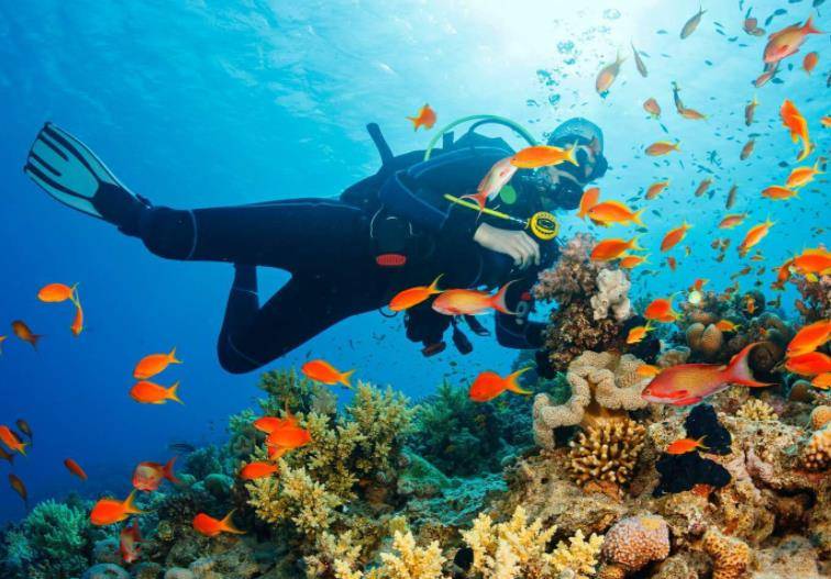 原创伯利兹蓝洞：形成、结构、地质特征和生态环境分析