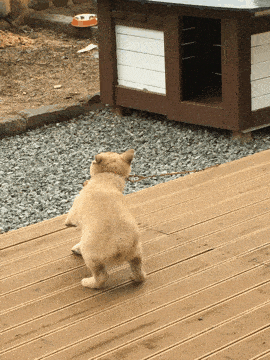 原创
幽默笑话:参加工作时领导给介绍了个对象,姑娘在麻纺厂上班3 原创
幽默笑话:参加工作时领导给介绍了个对象,姑娘在麻纺厂上班3