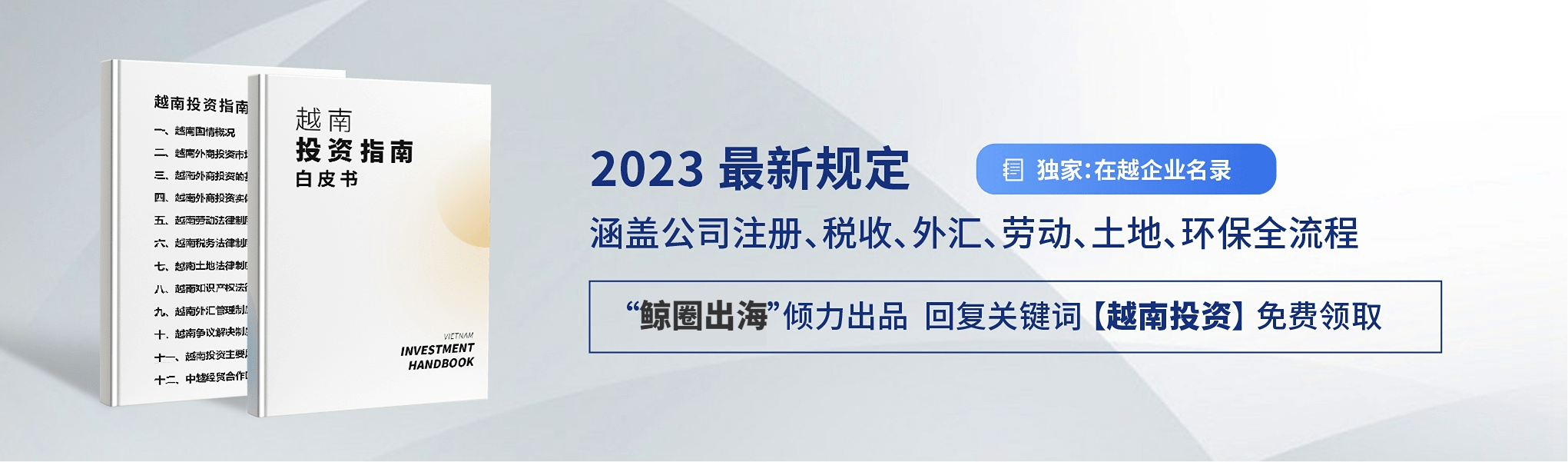 谈球吧体育越南投资方式解析：多元选择路径开启财富增长之门【越南投资全程落地30讲】(图2)