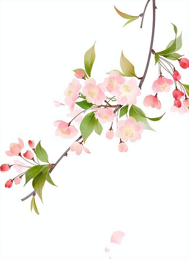 上海肝胆外科专家来海安市中医院坐诊啦！就在本周六（6月24号）