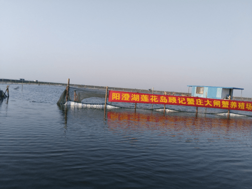 阳澄湖农家乐哪家好来阳澄湖一定要打卡的吃蟹农家乐开云体育 Kaiyun.com 官网入口(图3)