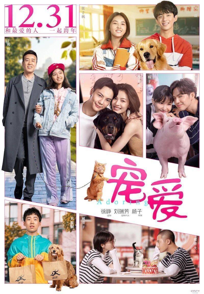 《宠爱》：永远都不会忘记，我的生命里，你来过