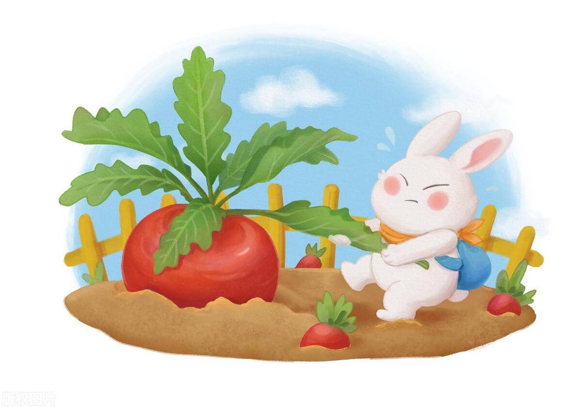 胎教故事：善良的小兔子