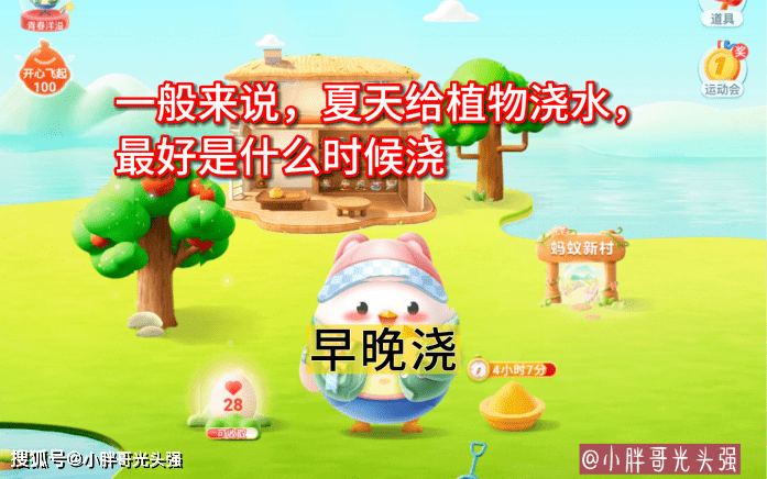 原创一般来说，夏天给植物浇水，最好是什么时候浇？蚂蚁庄园小知识