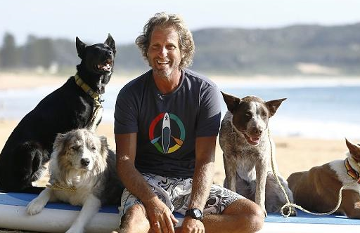 宠物小知识：狗狗的心血管系统的组成以及心血管系统的特征-第5张图片-冲锋网