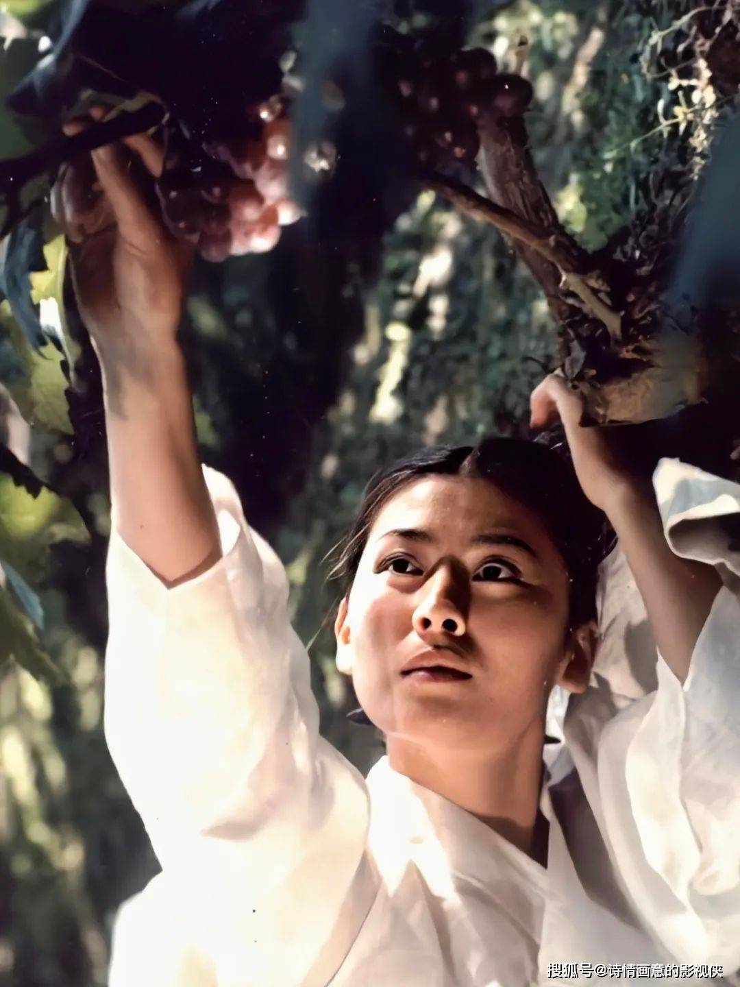 韩国战争风月电影《桑叶》:贫困时代下女性生存与挣扎的无奈