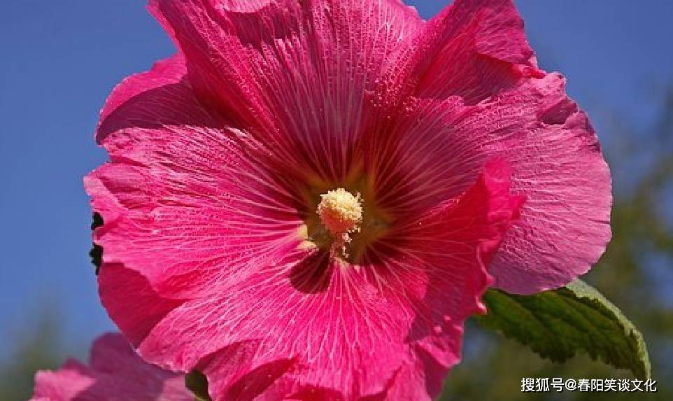 感动一生的句子,睿智犀利,经典句子(感动语录经典短句)