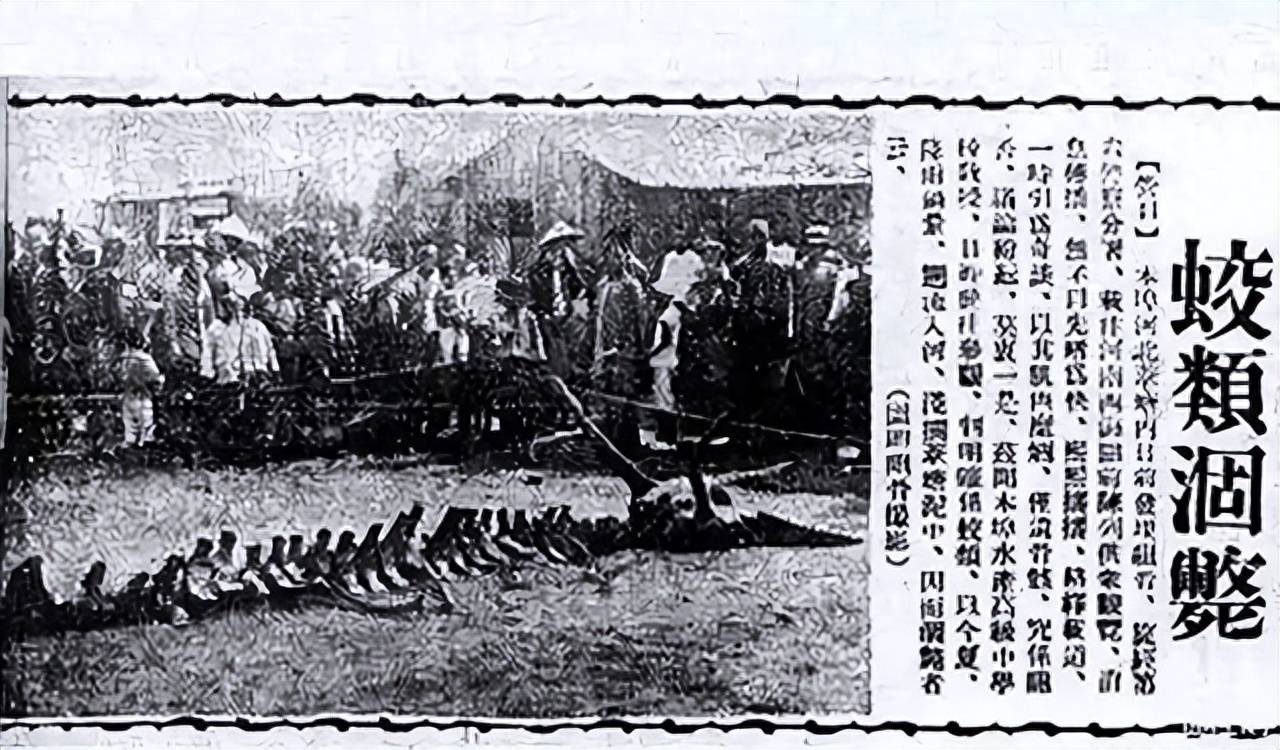 飞龙?济南5天2次现不明飞行物!专家:某生物痕迹,龙真的存在吗 飞龙?济南5天2次现不明飞行物!专家:某生物痕迹,龙真的存在吗