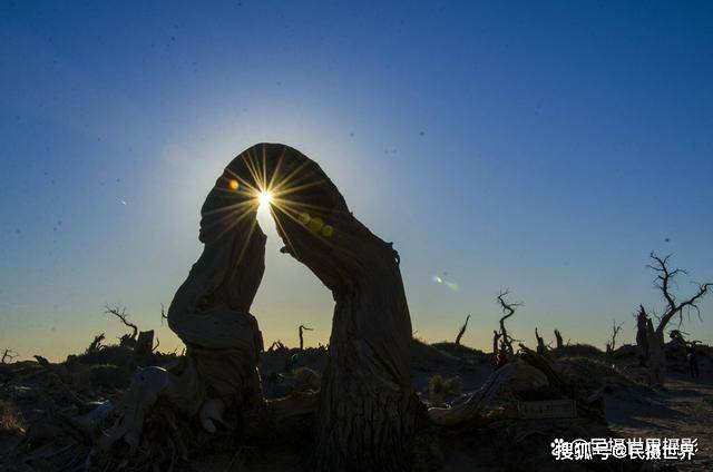 额济纳旗胡杨林旅游攻略：胡杨林景点介绍、摄影技巧、穿衣攻略等