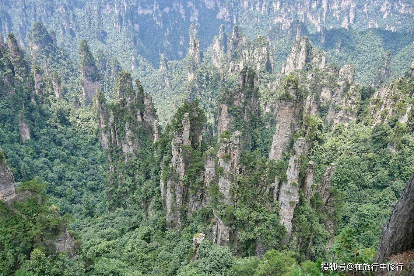 远方有你“张家界”人间仙境-游玩4天旅游攻略