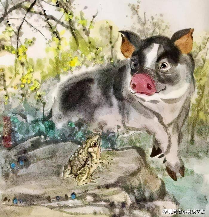 切成躲懒，自力更生。洞在清溪何处边猜一生肖,信息解析与普及