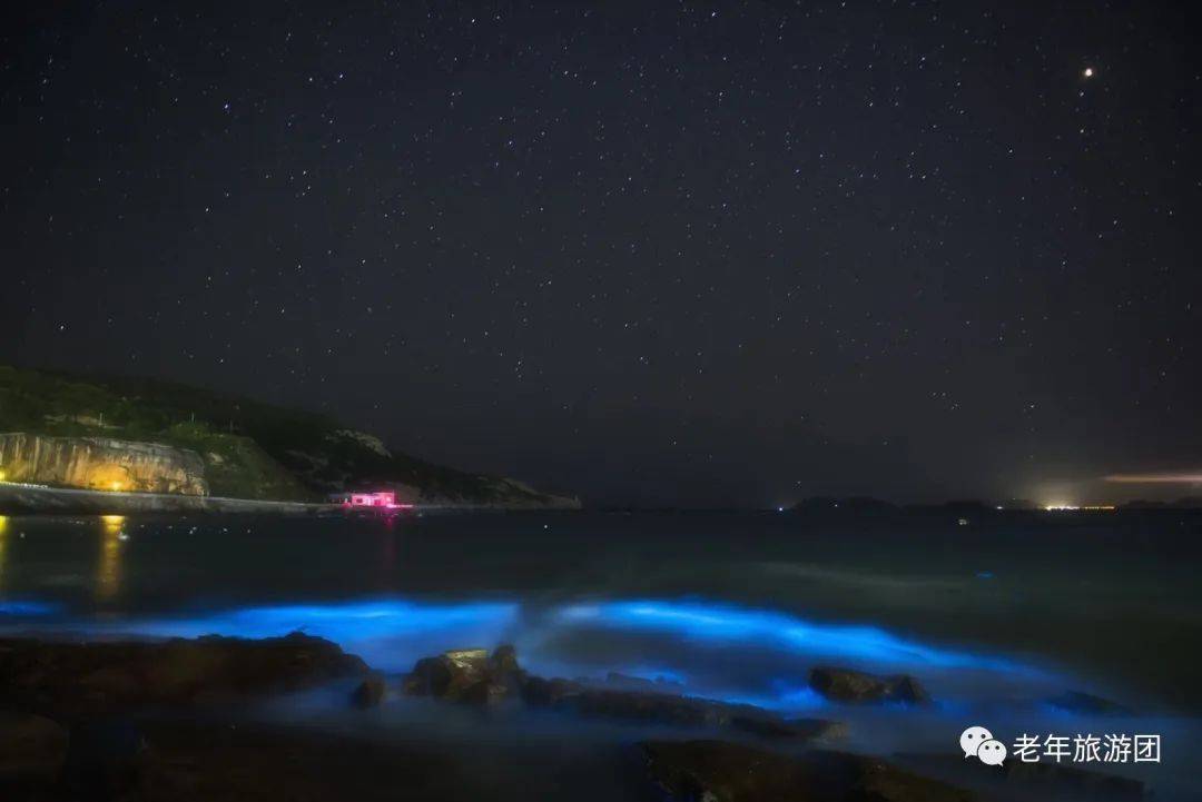 花鸟岛丨旅游攻略丨景点介绍