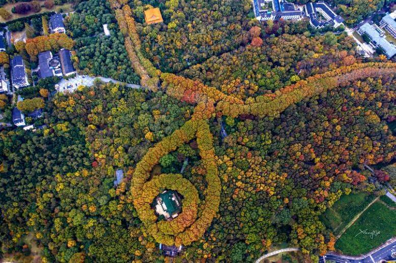 最新南京旅游攻略 南京必去景点游玩攻略  吃好玩好人均不足千元