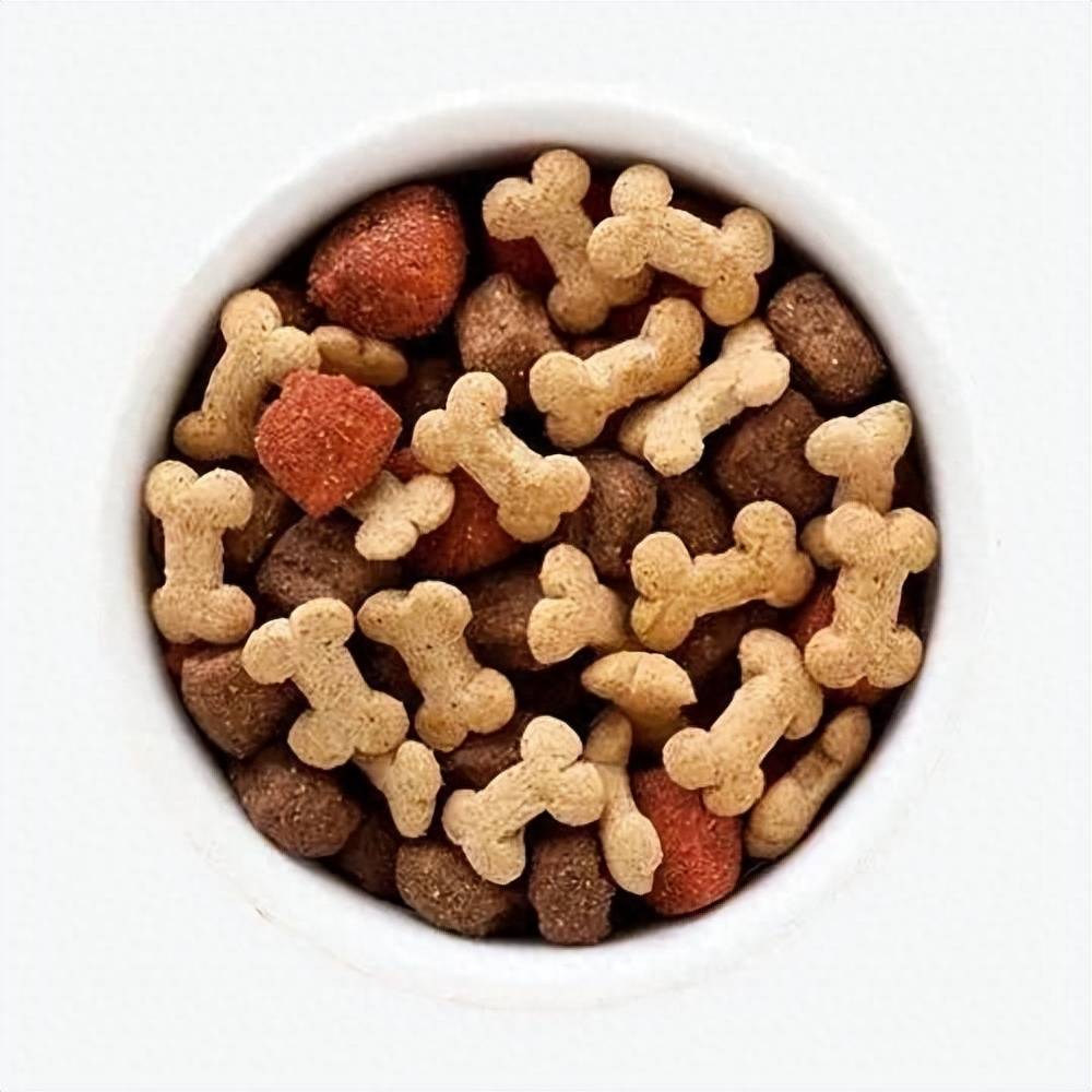 出口欧盟的宠物食品通关知识，你知道多少？-第1张图片-冲锋网