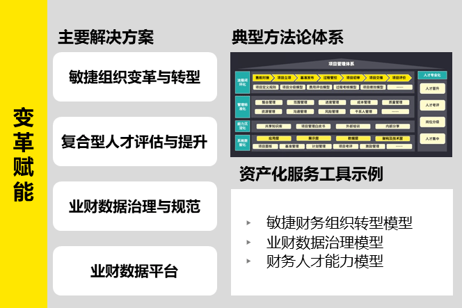 GA黄金甲安永智慧财务转型与管理咨询服务方案(图9)