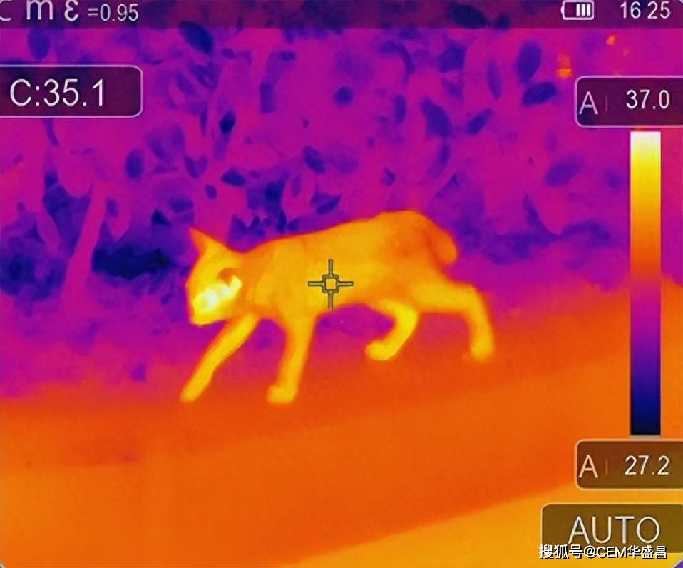 1分钟了解手机热像仪