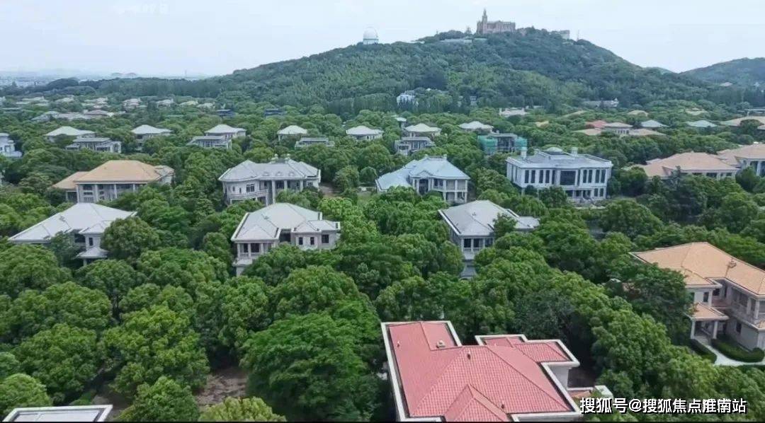 文章配图-19
