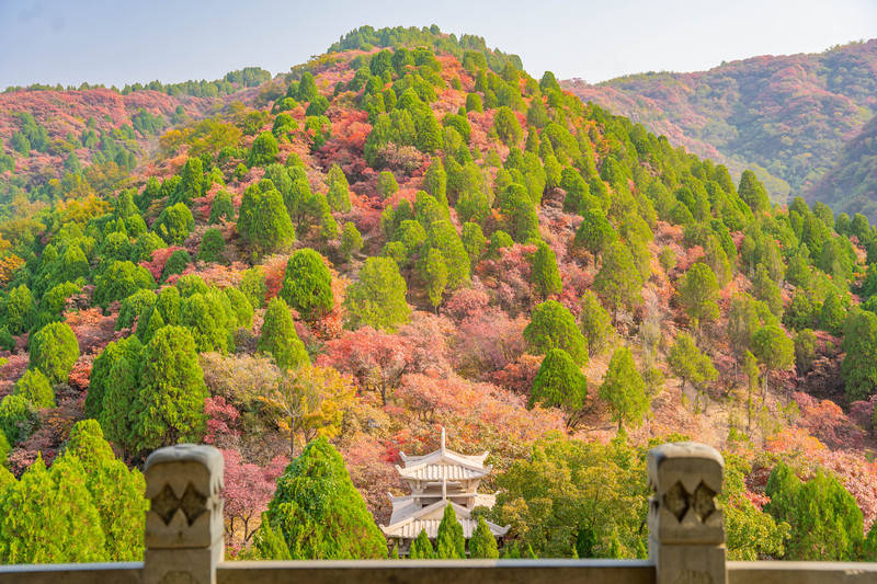 5天4晚山东美食攻略，开启一场味蕾之旅！