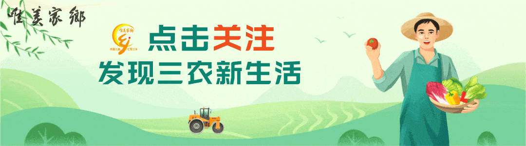 有闲余土地不知道种什么？分享七大种植项目，快收藏分享！
