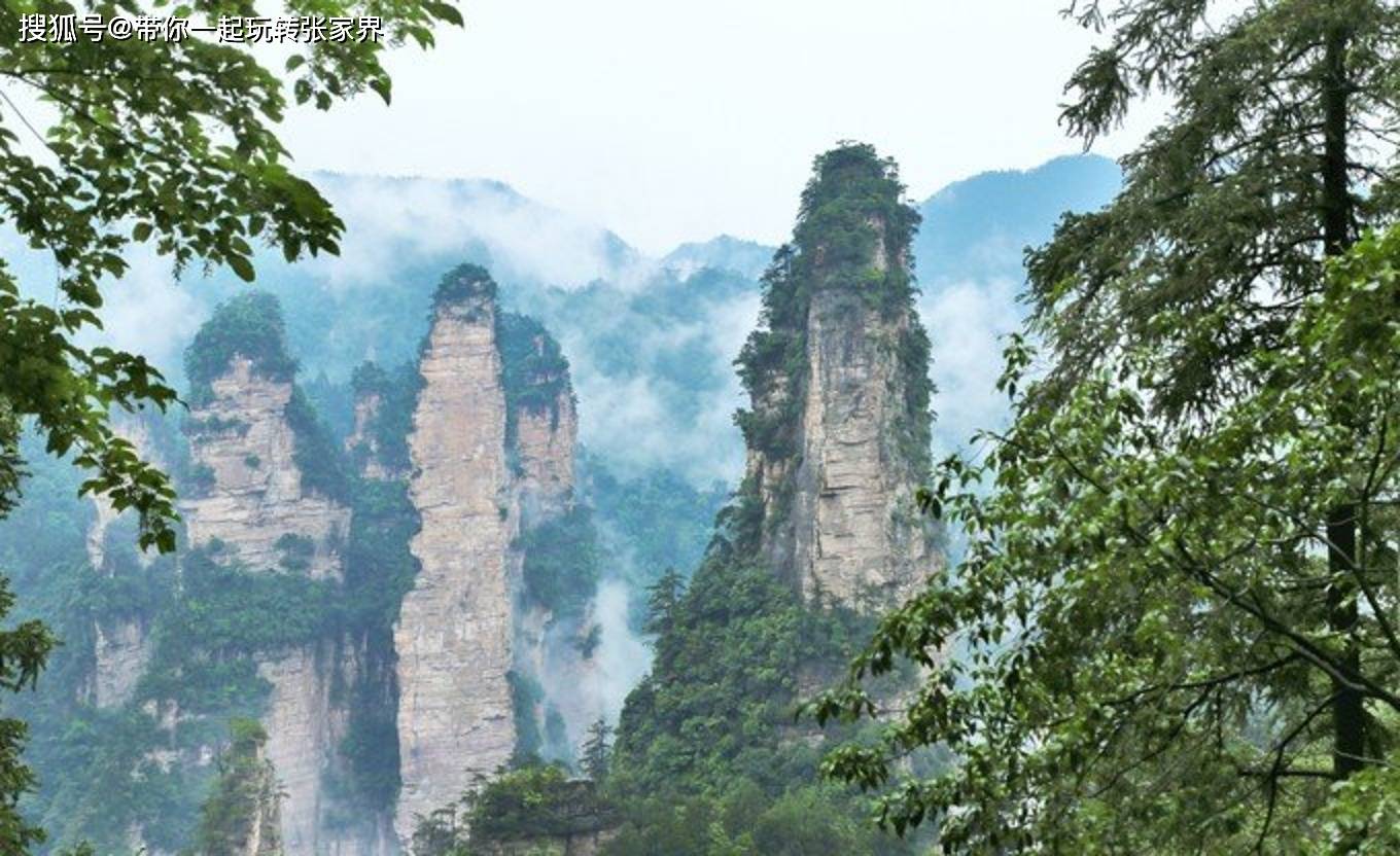 张家界森林公园深度旅游+天门山，凤凰自由行（详细攻略）