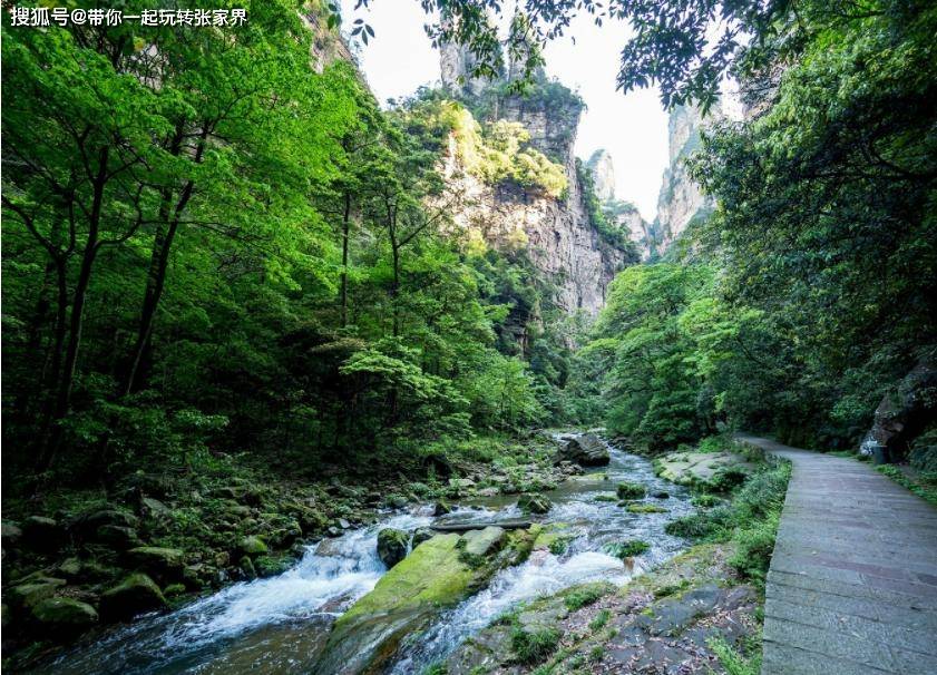 科幻般的绝世风光-简略易懂张家界四天旅游攻略-纯玩小包团2-8人