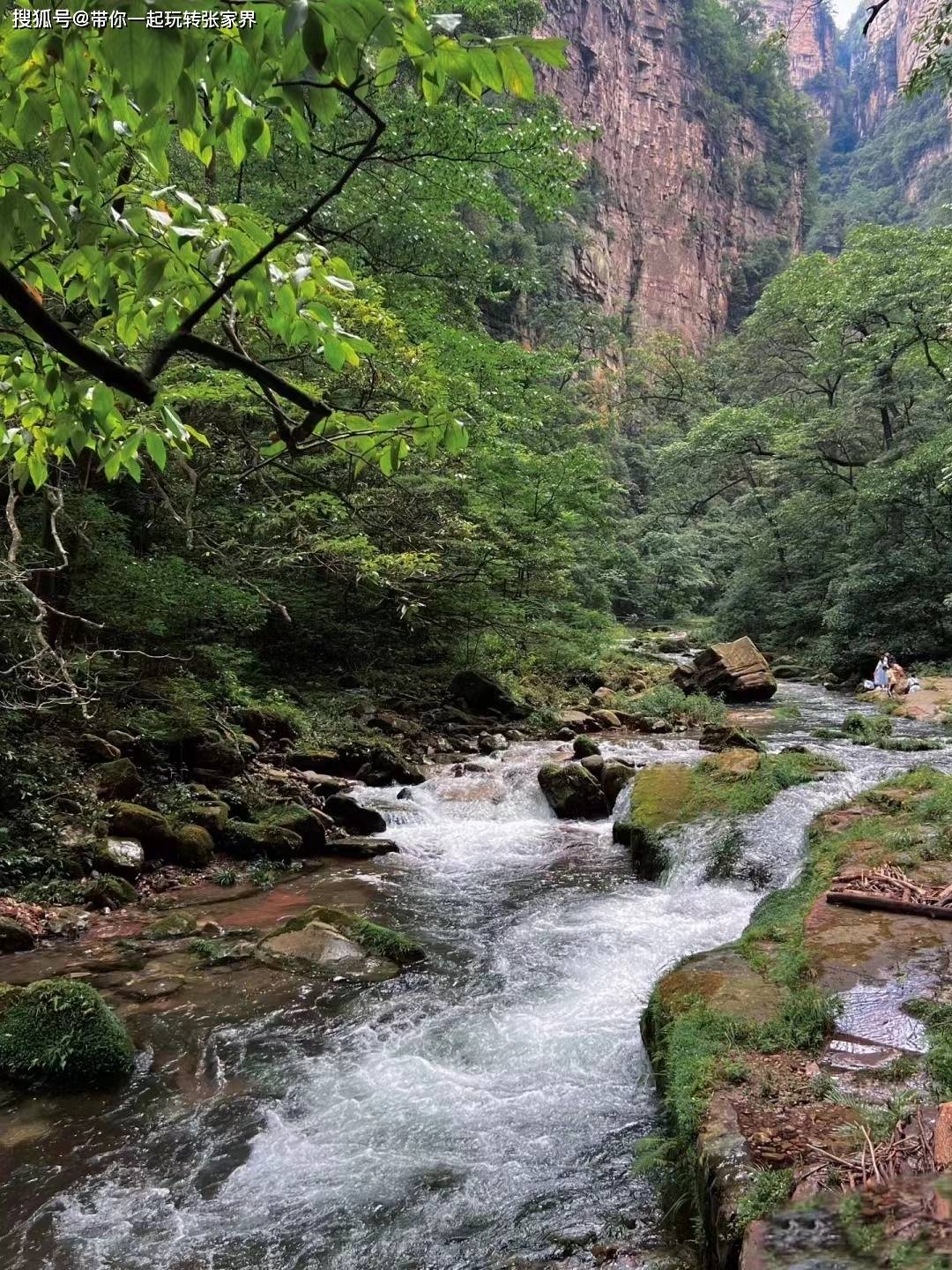 带父母哪儿旅游-最新张家界凤凰古城五天四晚家庭游保姆级攻略