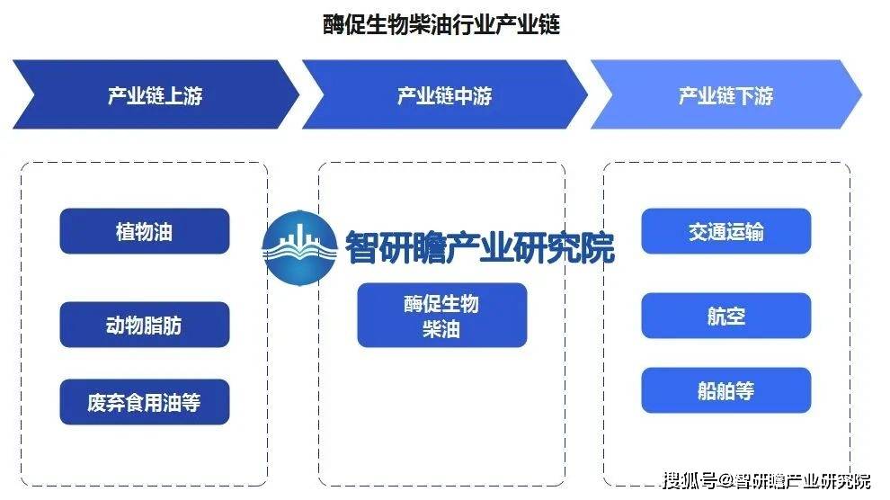 中国酶促生物柴业：一种可再生能源替代品聚享游(图3)