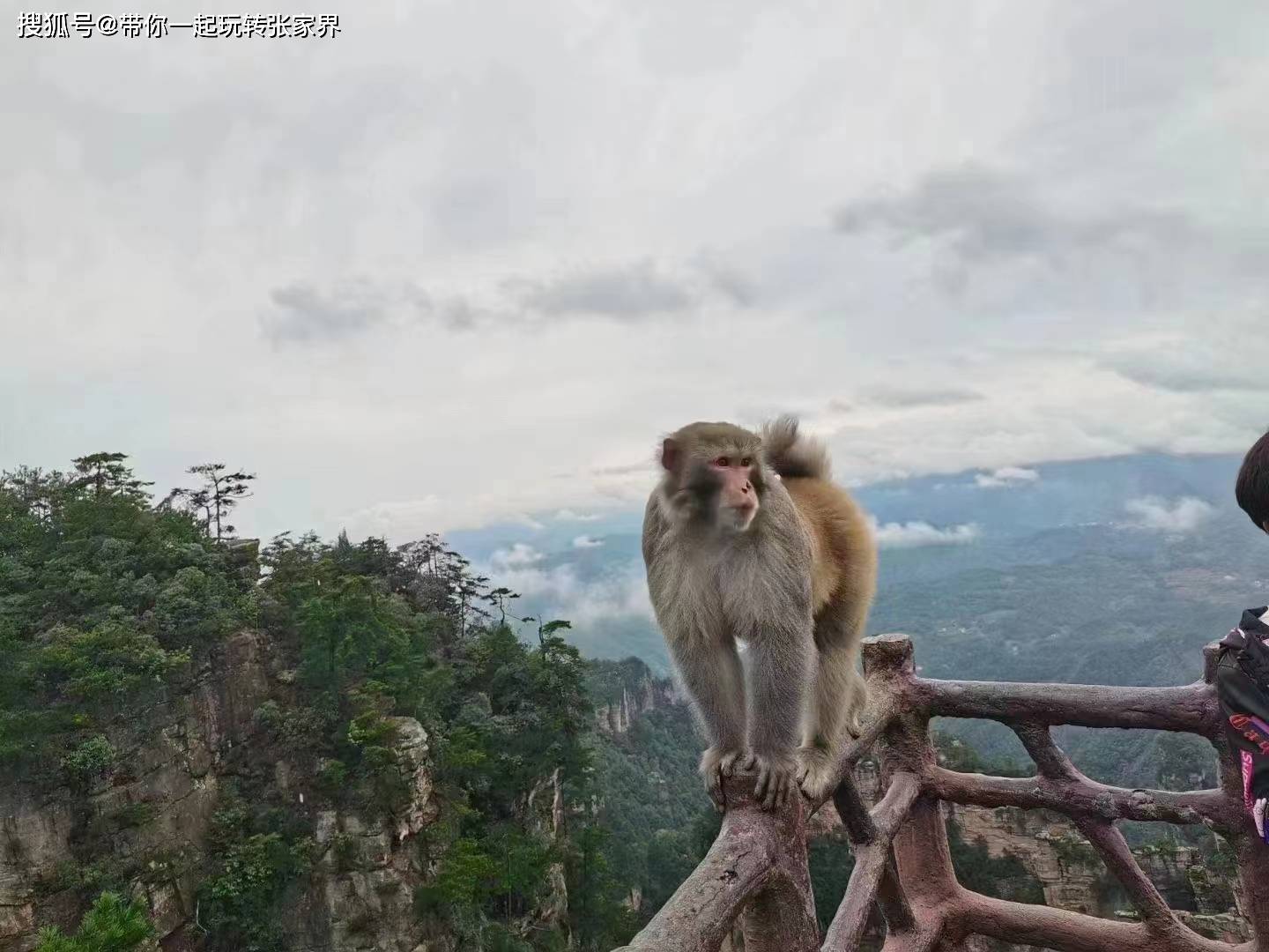 张家界凤凰古城夏日旅游5天自由行攻略-吃住行玩一应俱全