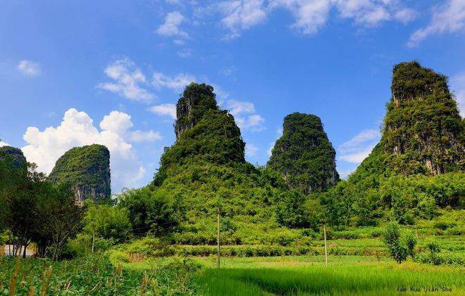 五指山是海南岛的象征五指山市拥有丰富独特的自然资源(图3)