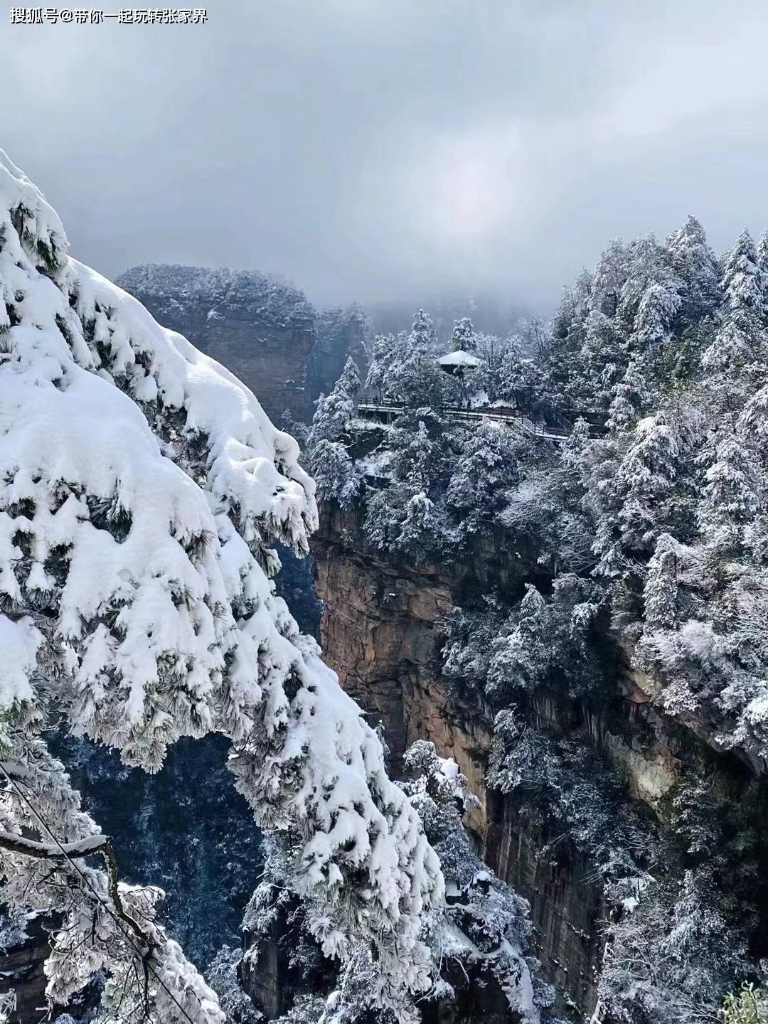 冬季雪景去张家界+凤凰古城玩5天4晚超详细旅游攻略