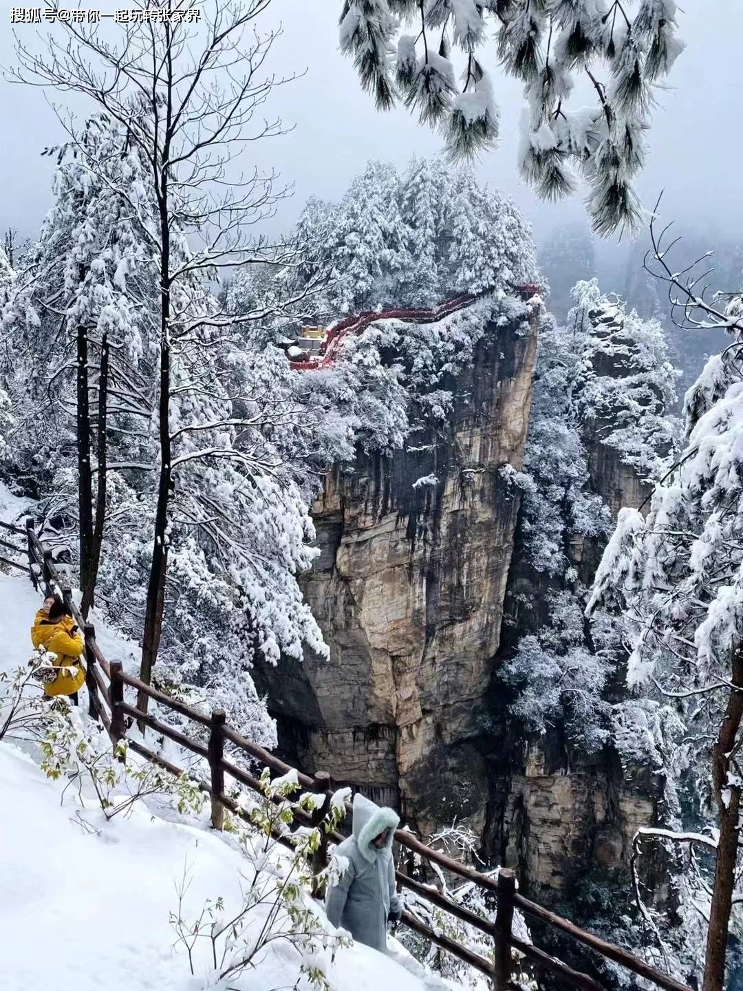 冬季雪景去张家界+凤凰古城玩5天4晚超详细旅游攻略