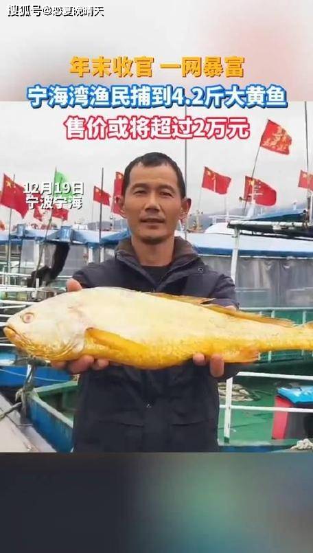 原创
            渔民捕获海中土豪金能卖二三万