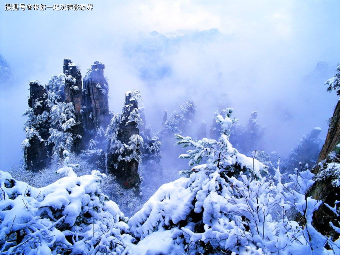 张家界一般玩几天合适呢？是旅游跟团还是自由行好？张家界5日游