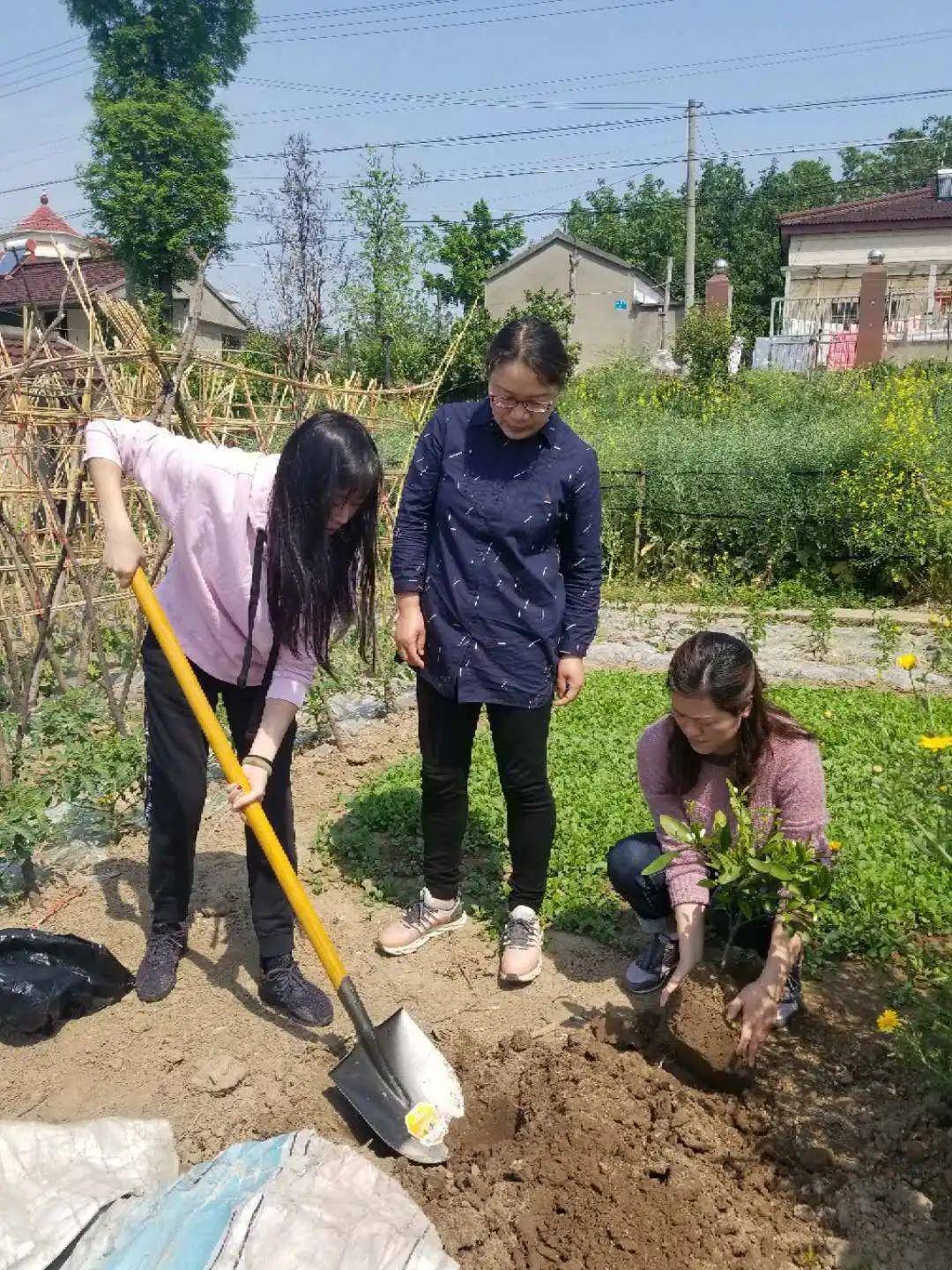 全国巾帼文明岗丹徒区农业农村局蔬菜技术指导站为谷阳镇,世业