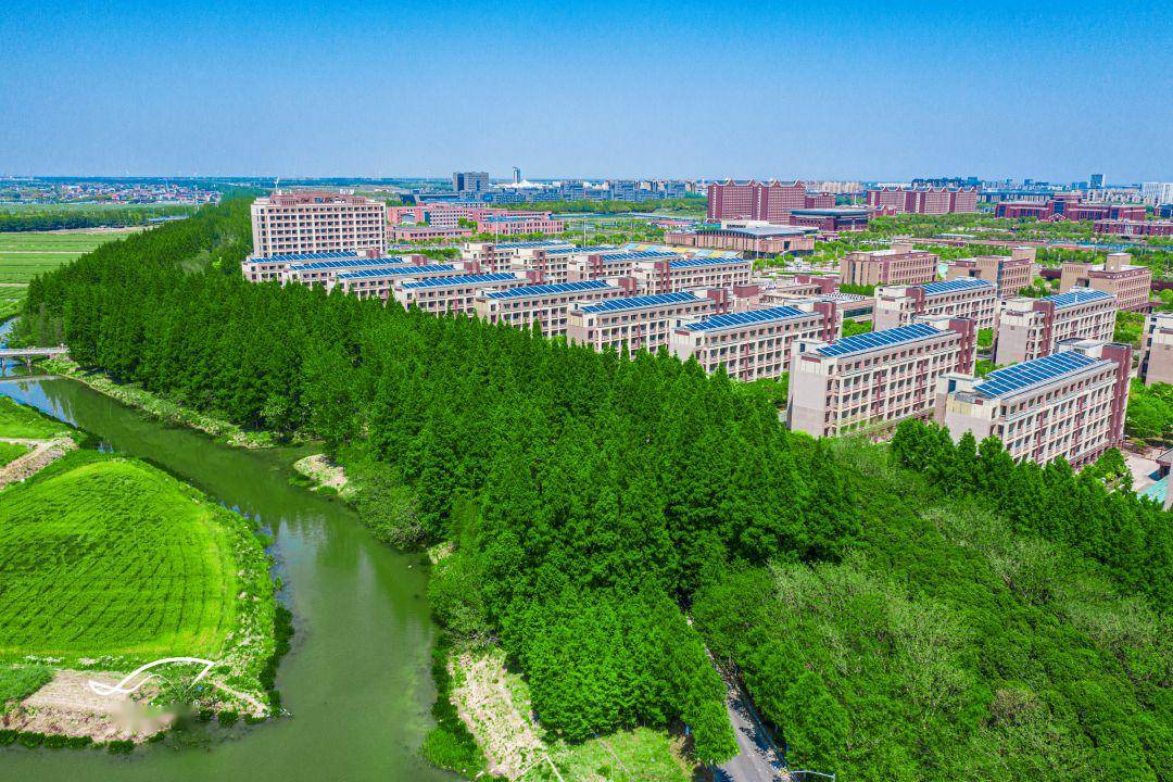 实景航拍!带你看春日里的临港大学城