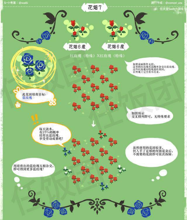 动森教程如何高产蓝玫瑰紫玫瑰橘玫瑰