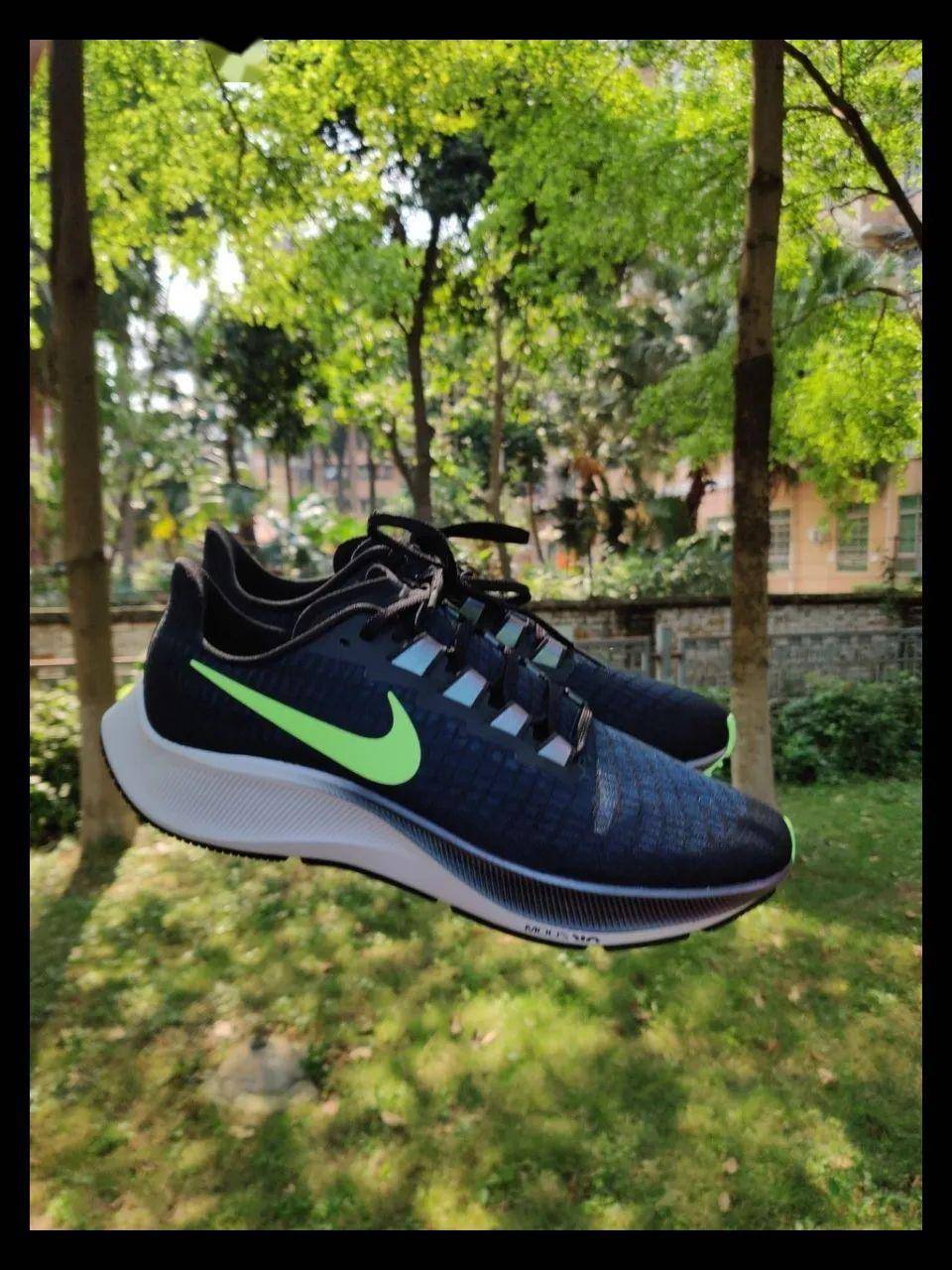 pegasus37|跑到飞,不掉队