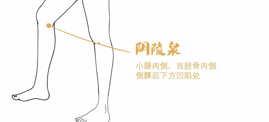 【穴位】肥胖多"湿重" ,根子在脾虚;三式"祛湿补脾法",解救无数湿人!