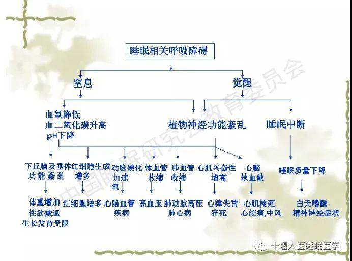 打鼾人口比例_黄金比例(2)