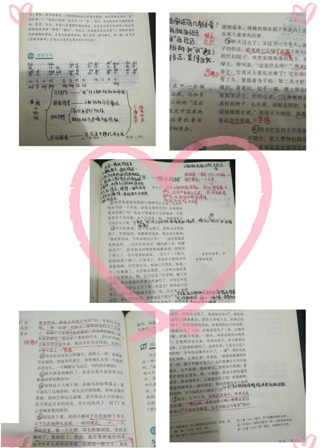 《桃花依旧笑春风》简谱_桃花依旧笑春风剧照(3)
