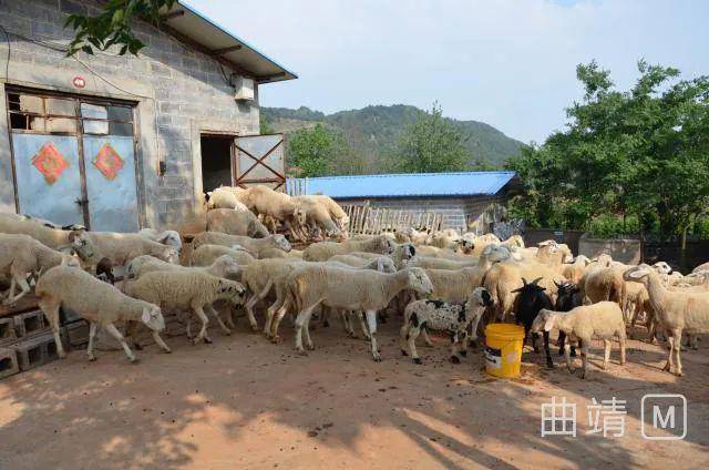 乘坡农场有多少人口_西畴县有多少人口(3)